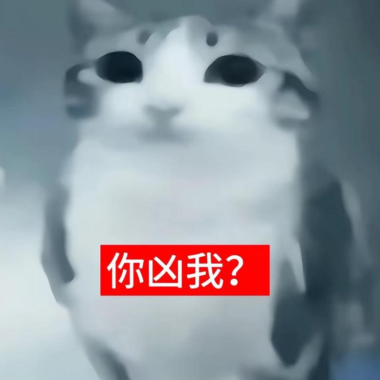 黑猫