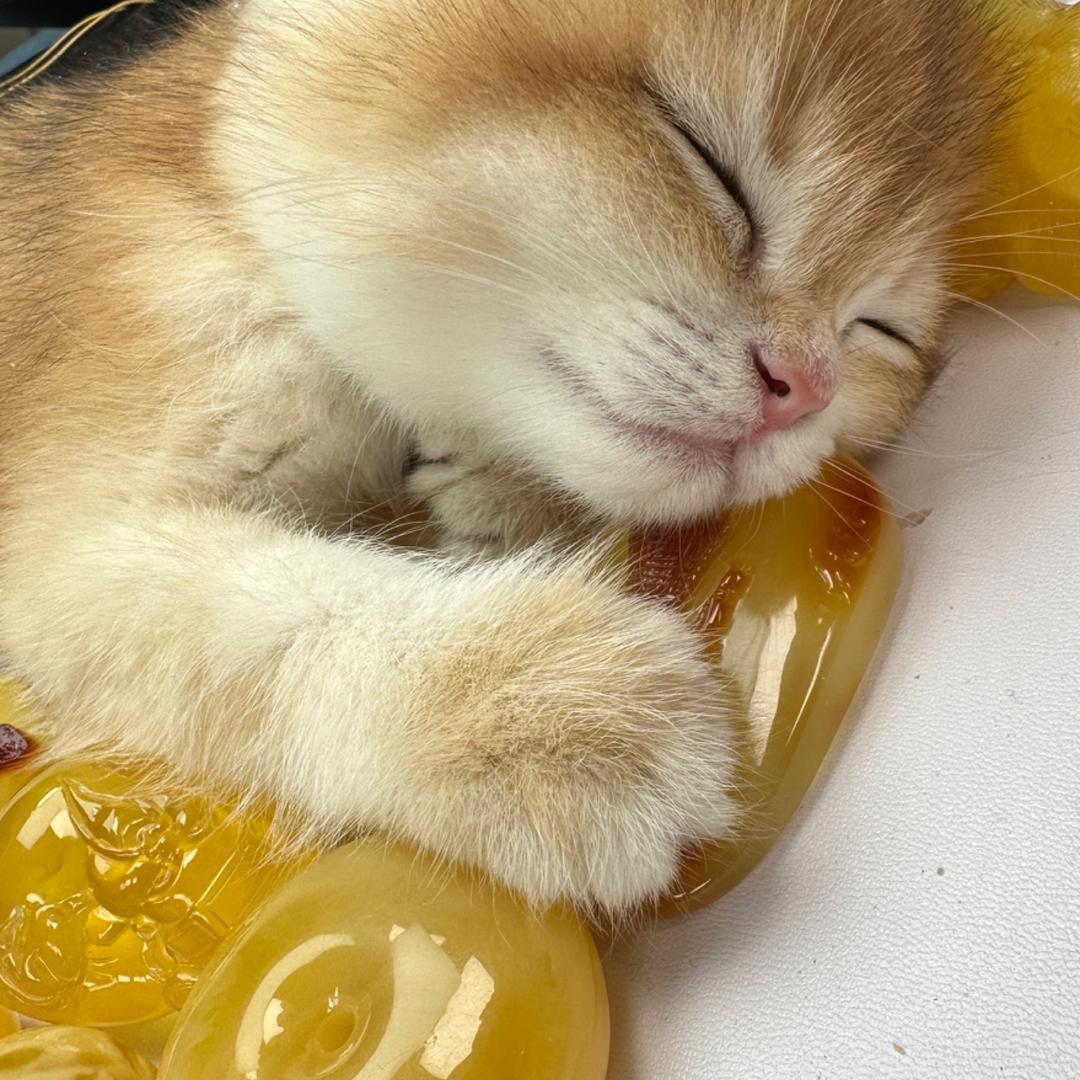 福莱珠宝