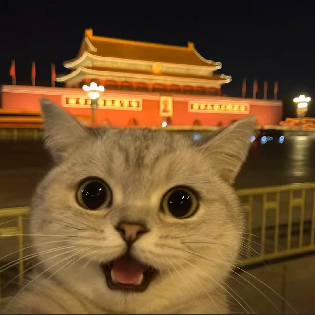 私念