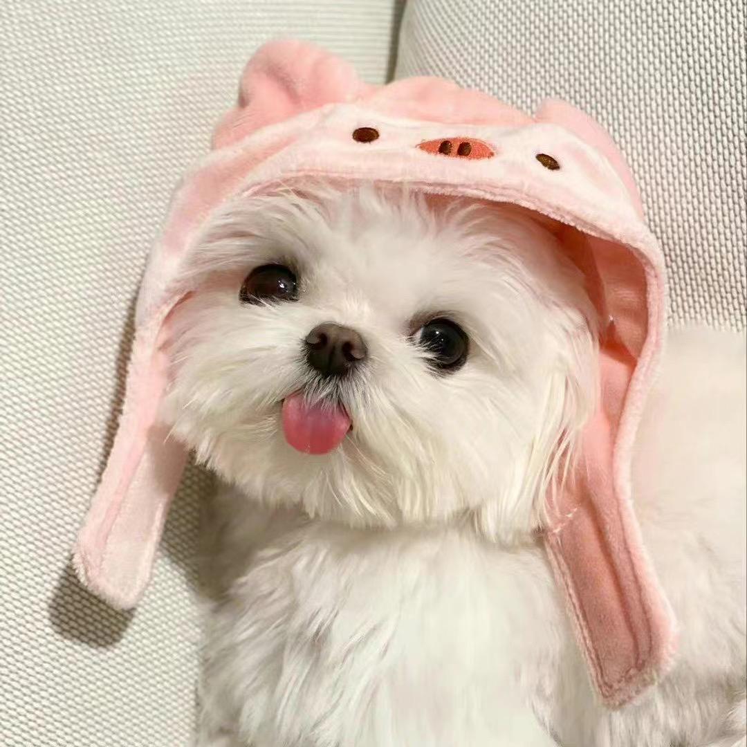 少吃亿点就能瘦