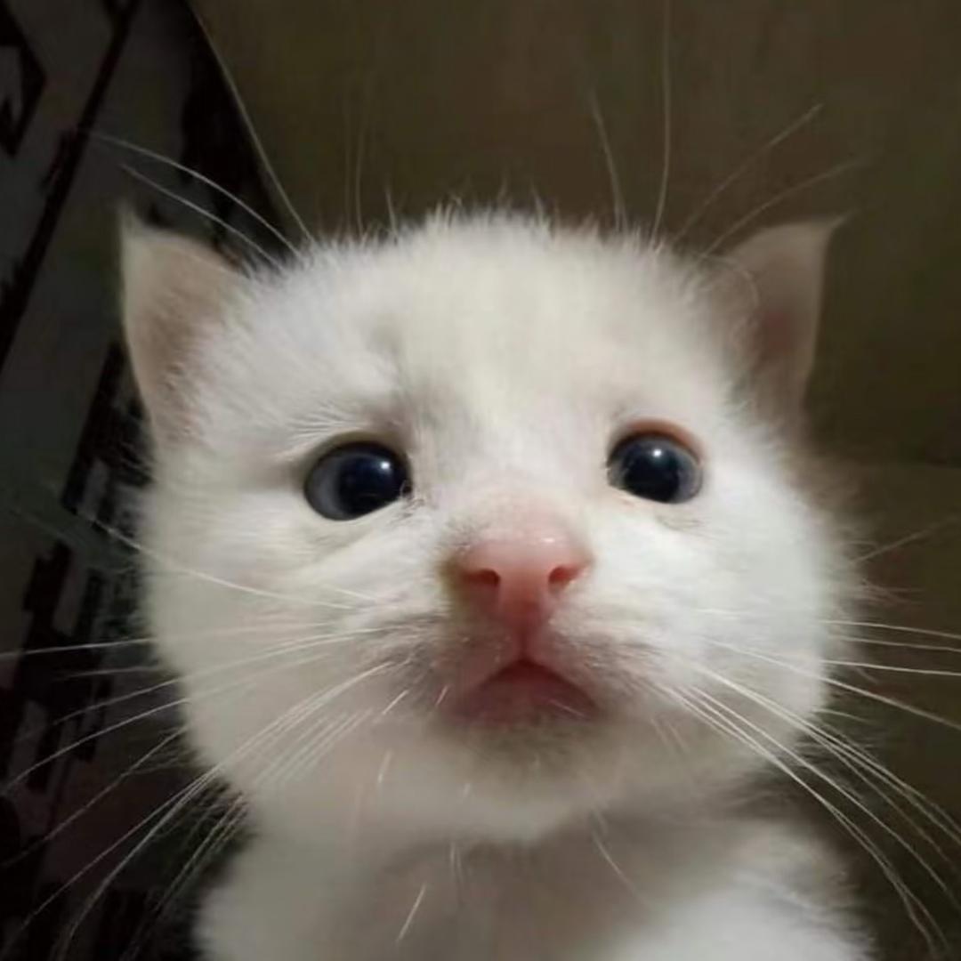 _
