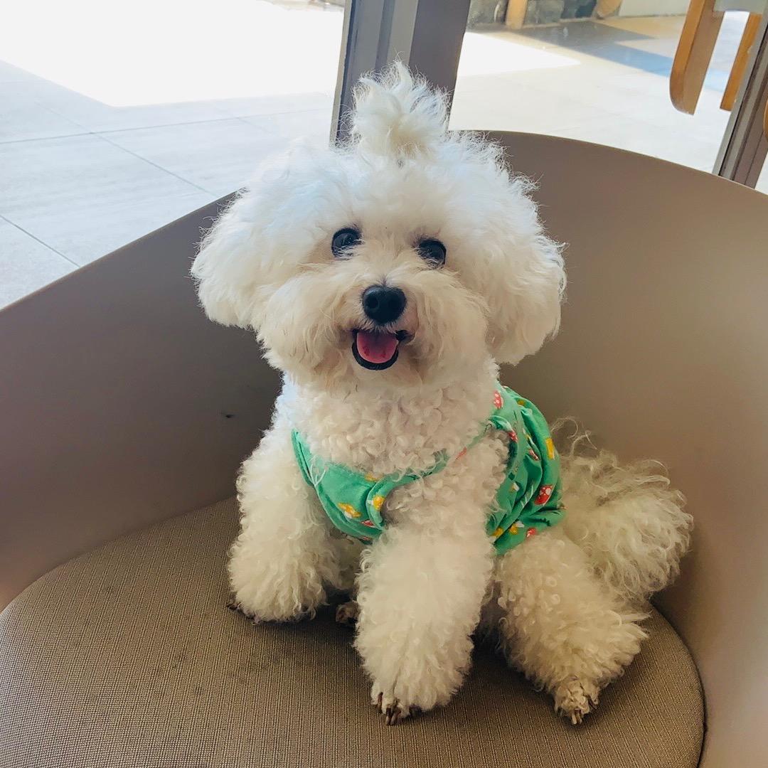 不了了知（奥利）