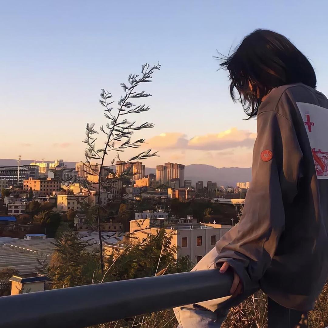 z蕊🙏头像