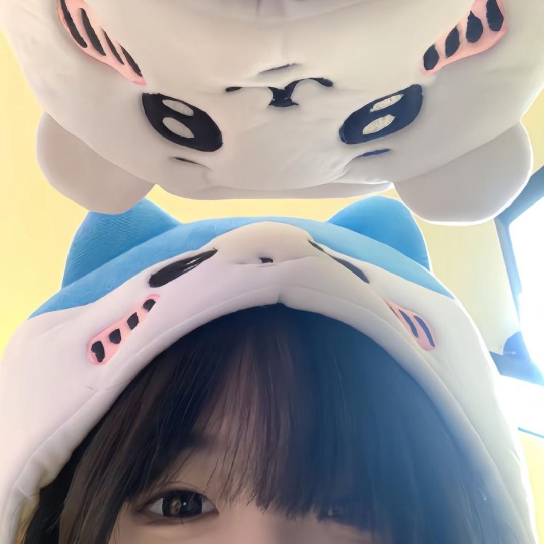 礼礼