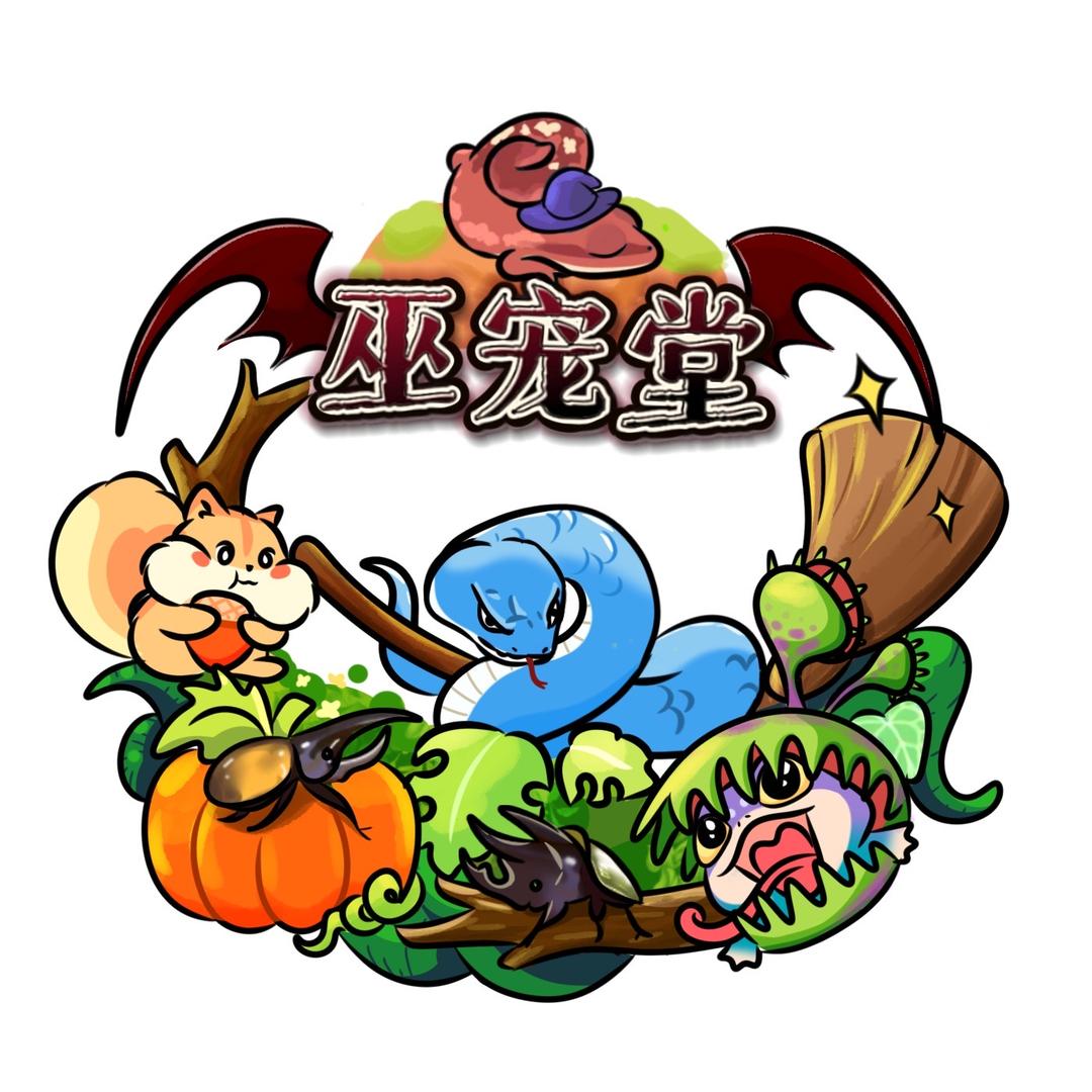 巫宠堂爬宠工作室