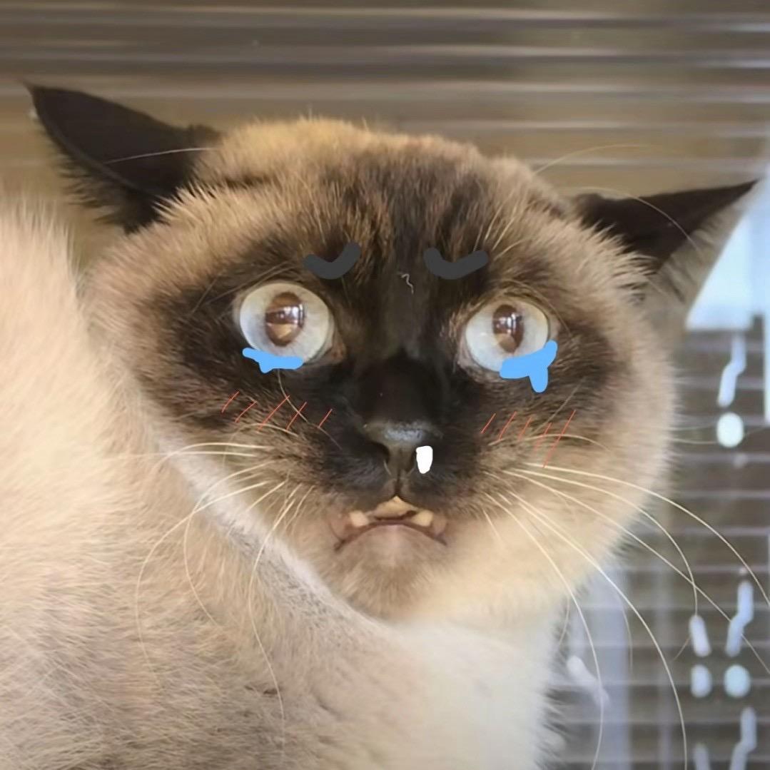 南烛
