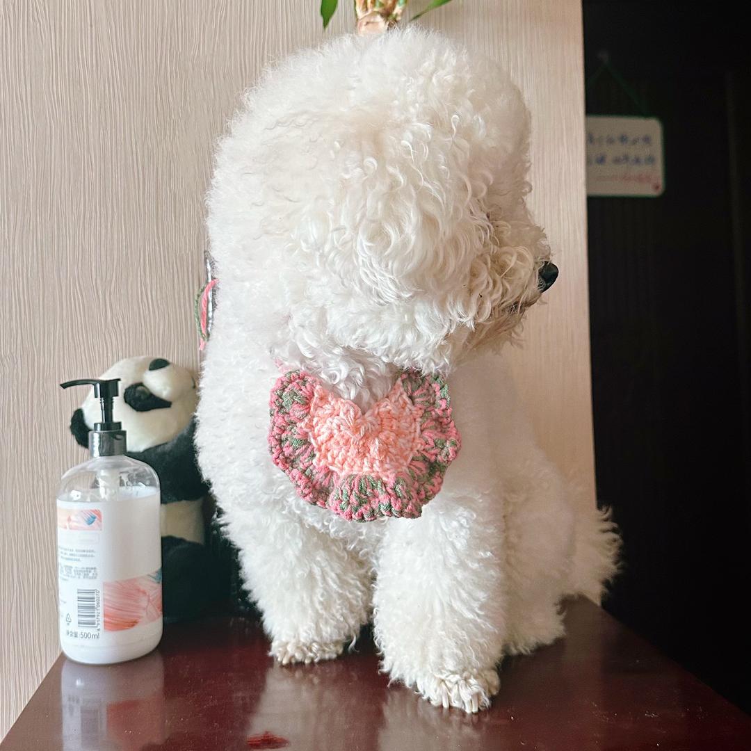 国际庄大妞儿