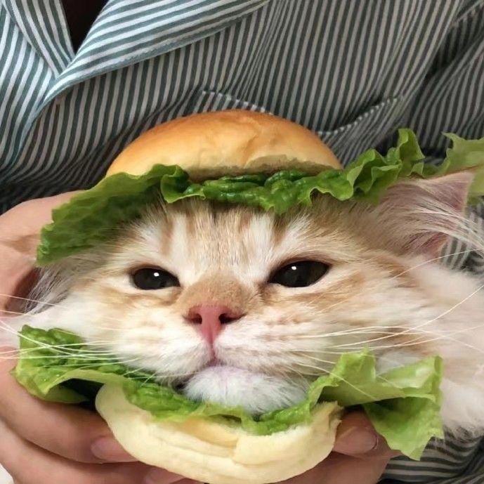 柚