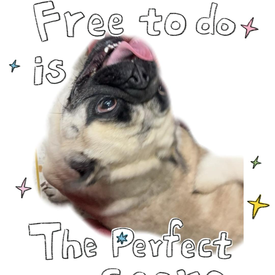 元宝揣着汤圆跑（异地）