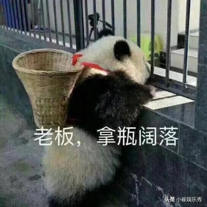 (۶ૈ ۜ ᵒ̌▱๋ᵒ̌ )۶ૈ