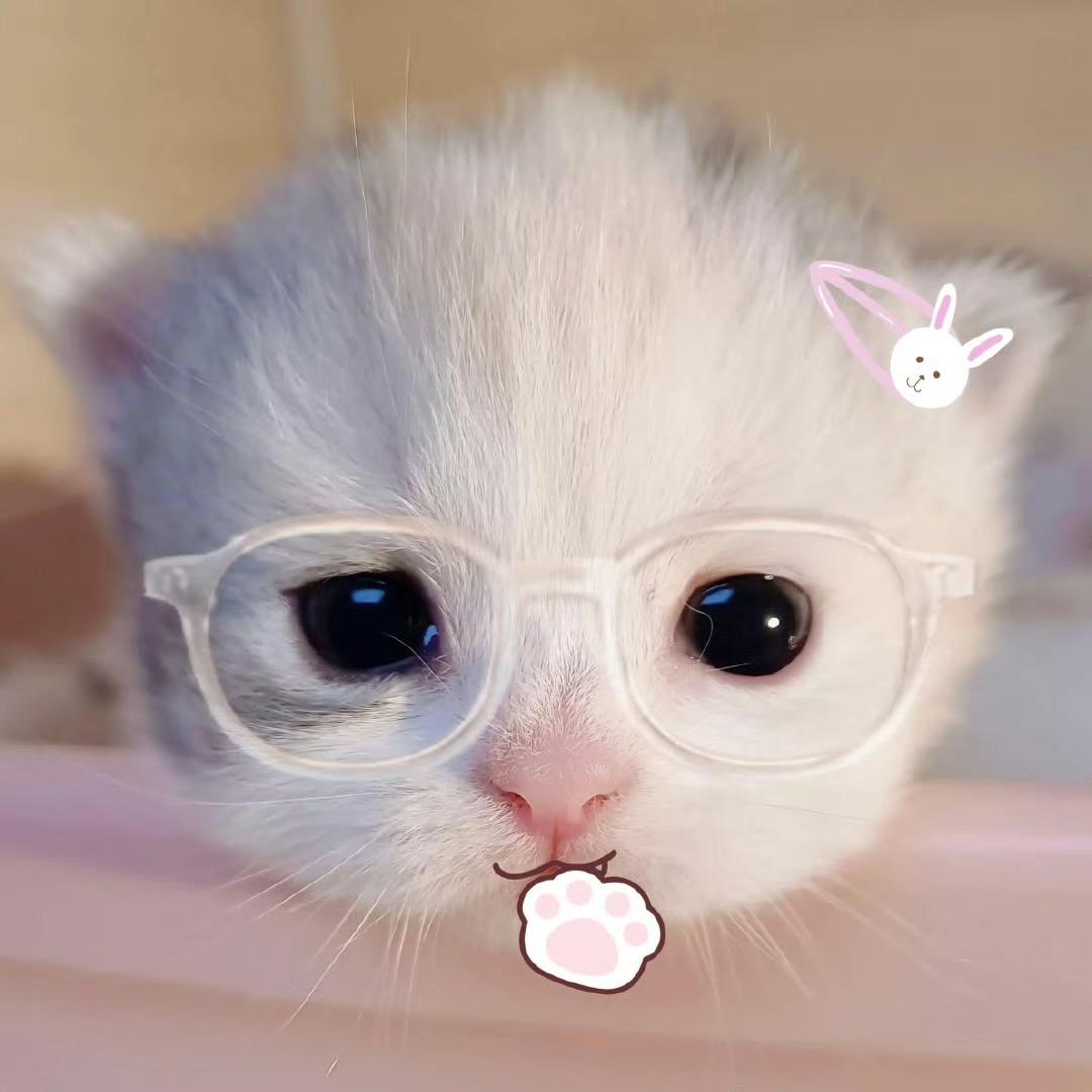 是可爱小晨酱 ᳐ ੭