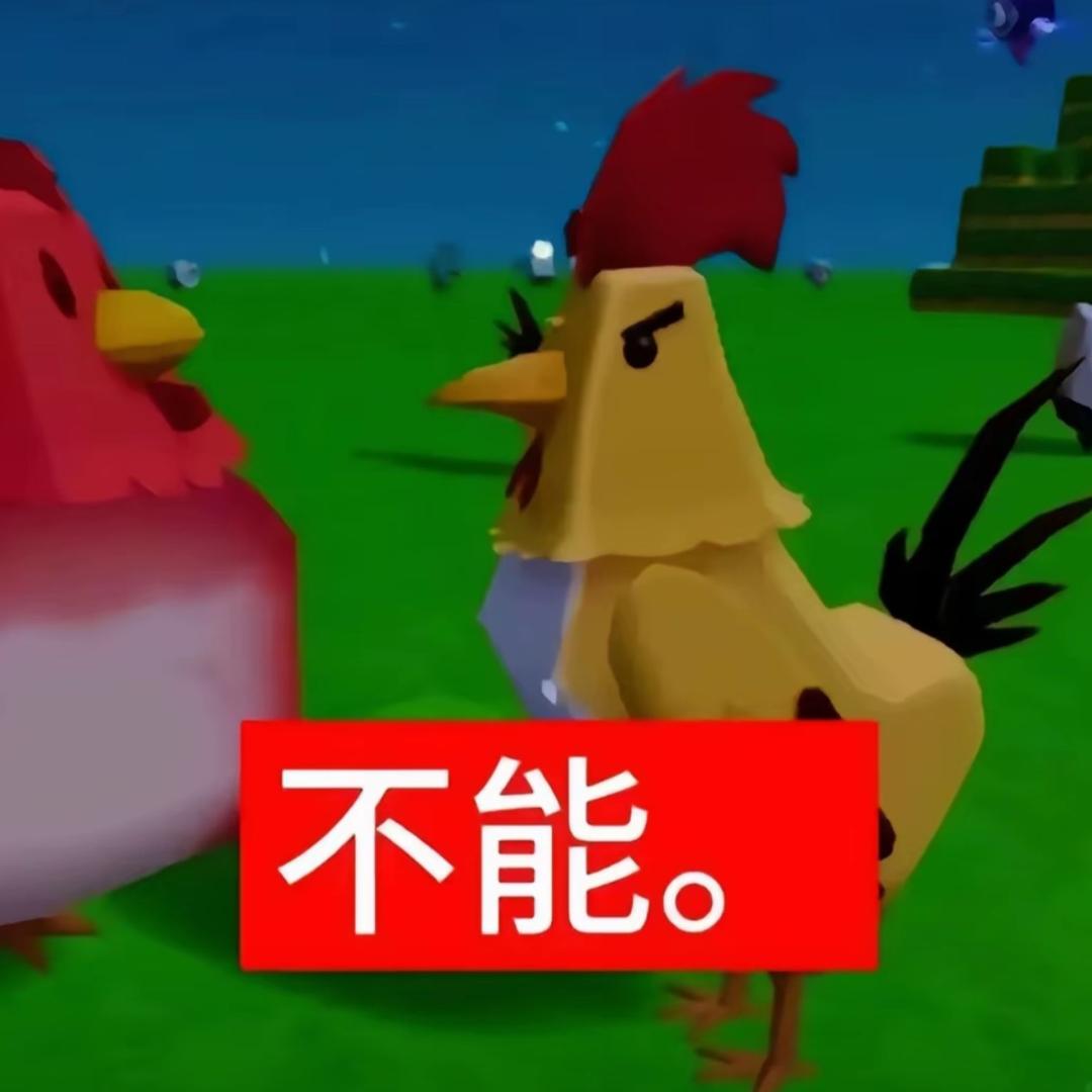 呆猪