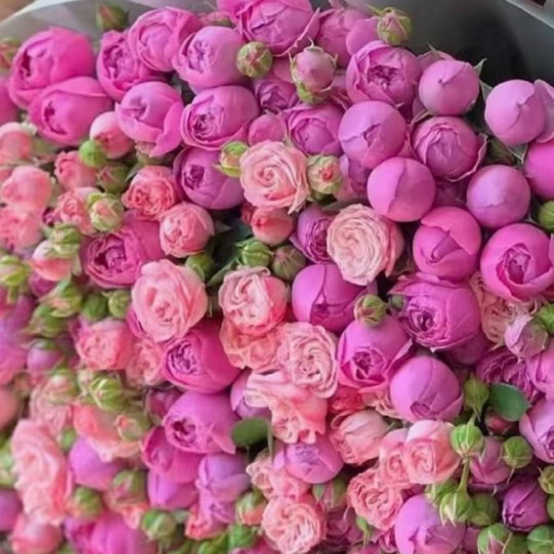 还没有想好取什么