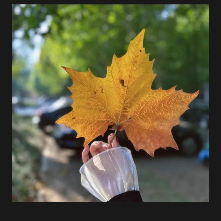 ওᤢᤣ᭄໊ 初訫 ഒᩚω໊࿐