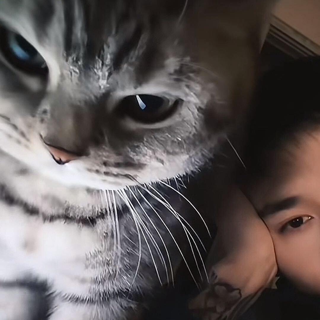 一洋洋洋