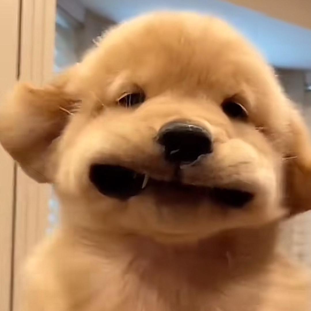 曹熙杰