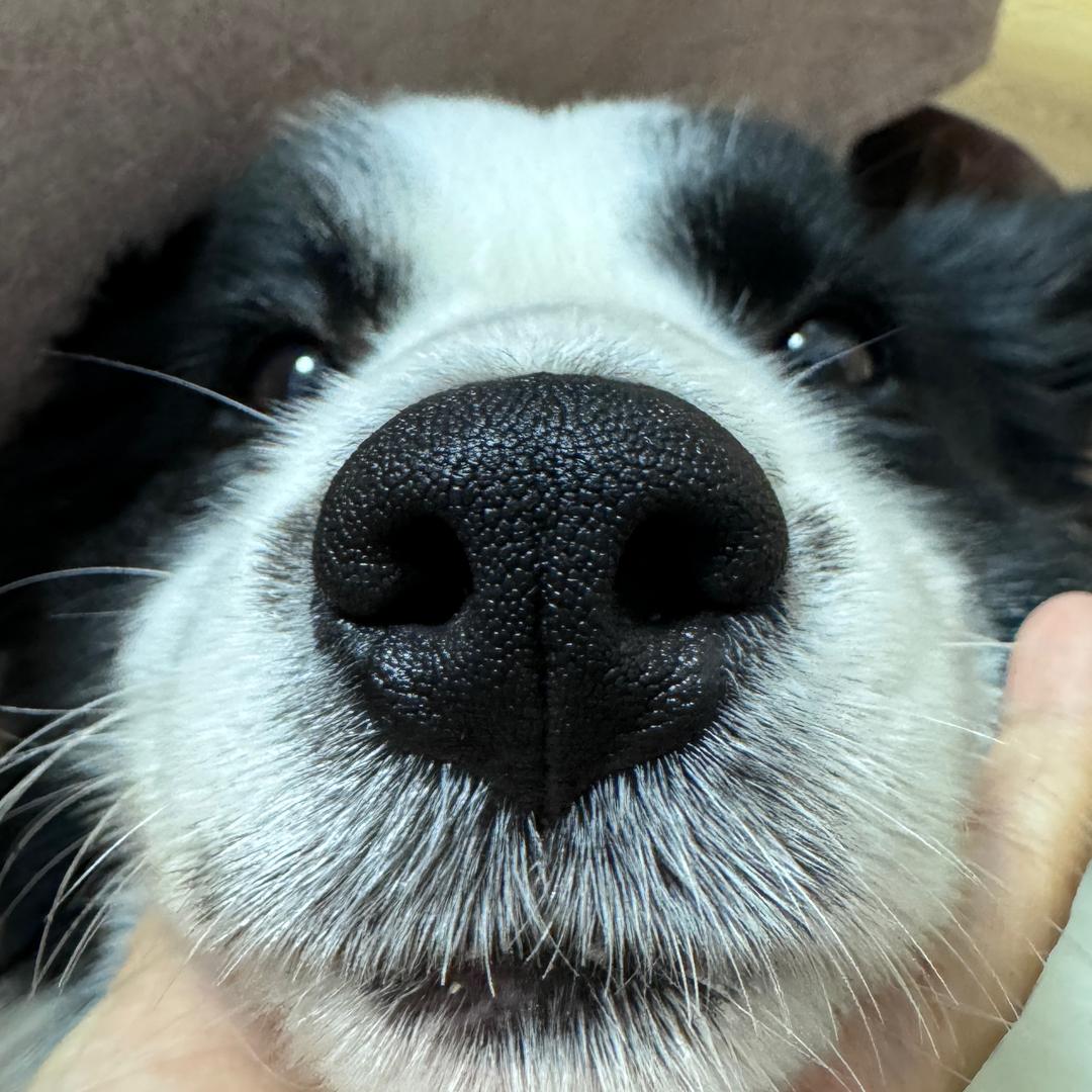 章八筒