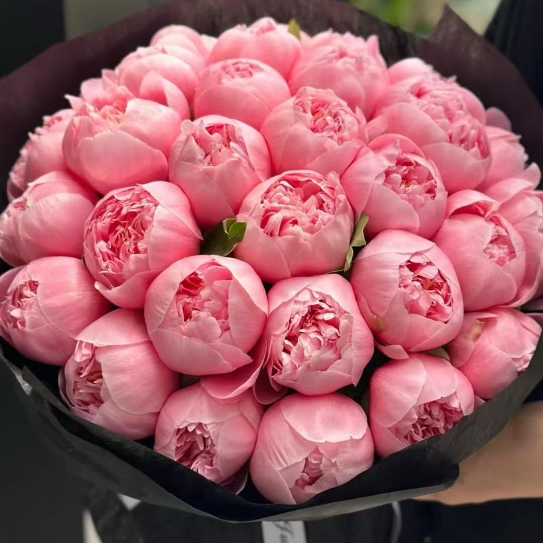 🌺 「国色天香优选」+ 🌟