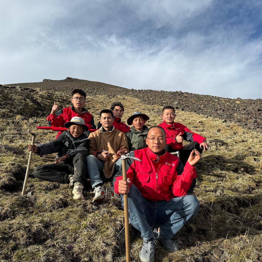 西藏小艾虫草产地