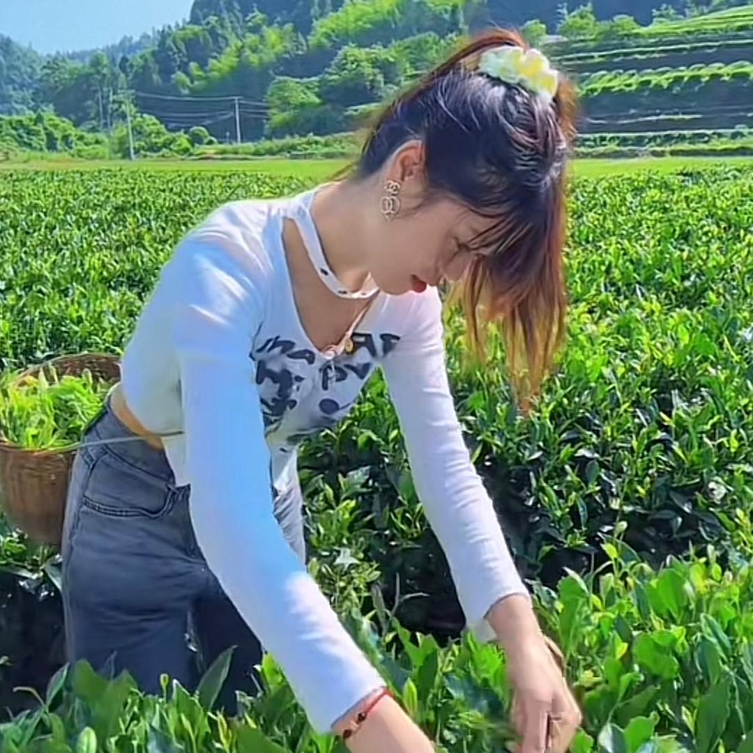 晚风吹人醒.