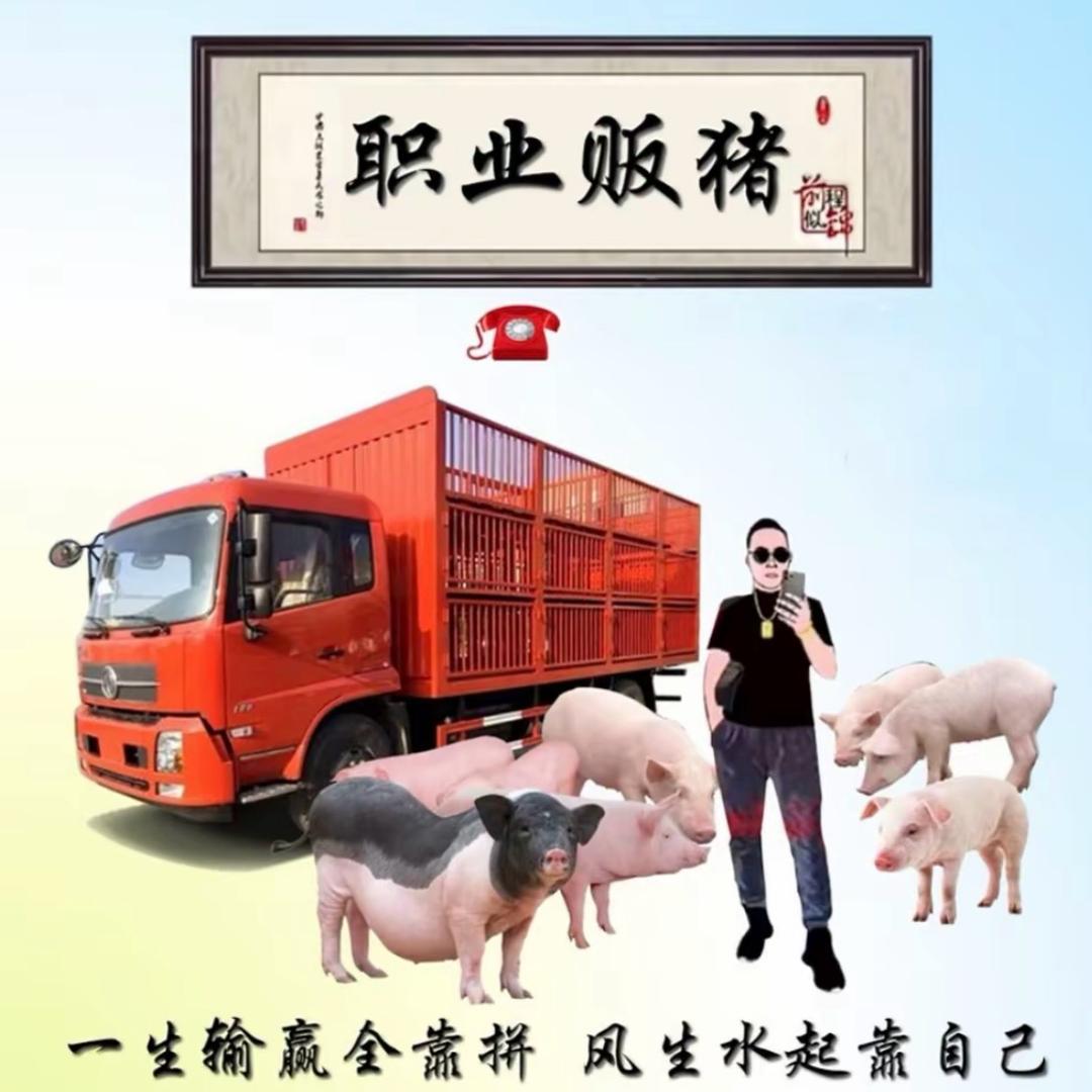 老王黑猪养殖🐖