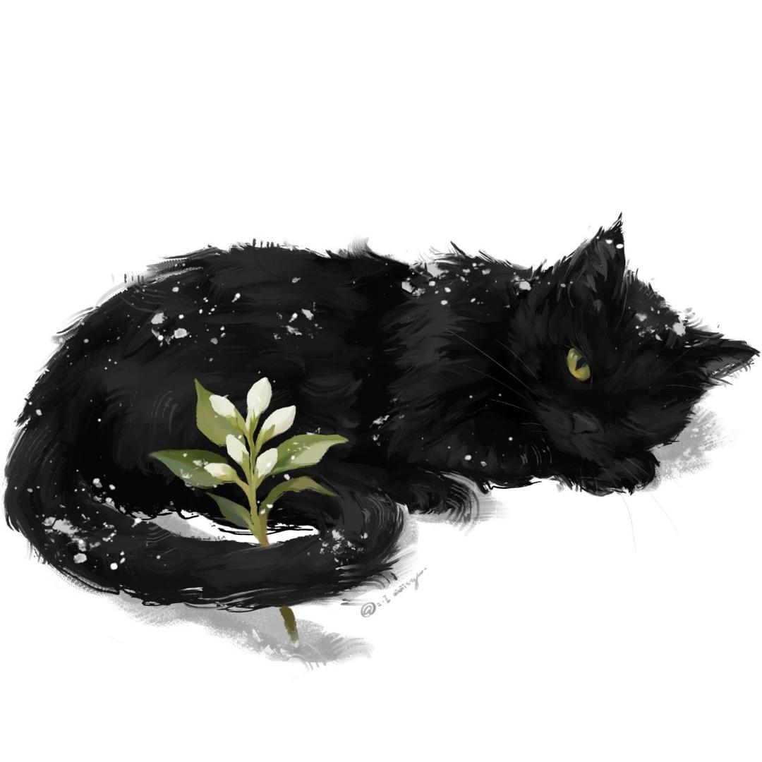 马卡龙门诊部（拒🥕版）