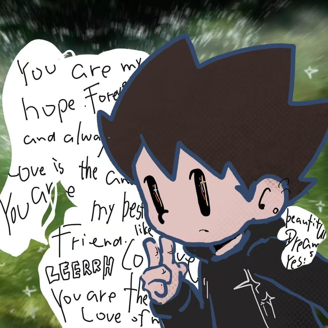 飞羽（承蒙厚爱）