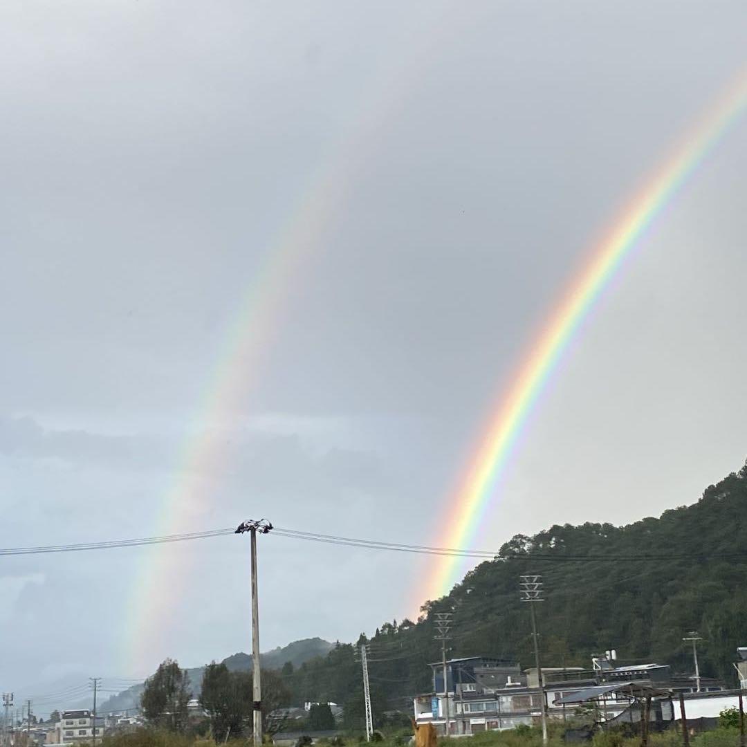✨小米