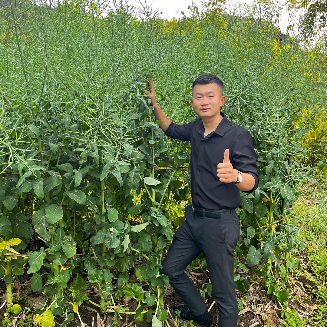 助农先丰