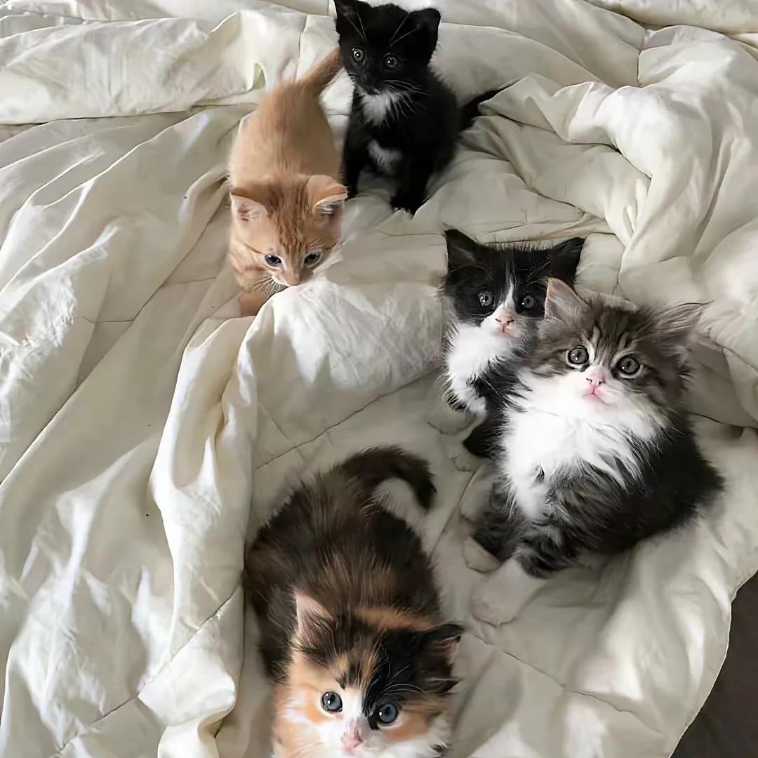 ღ᭄一笑💞倾城꧔ꦿ᭄  💕: ღ᭄一