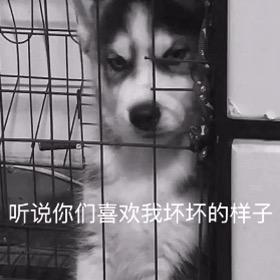 千仞（三角洲行动）