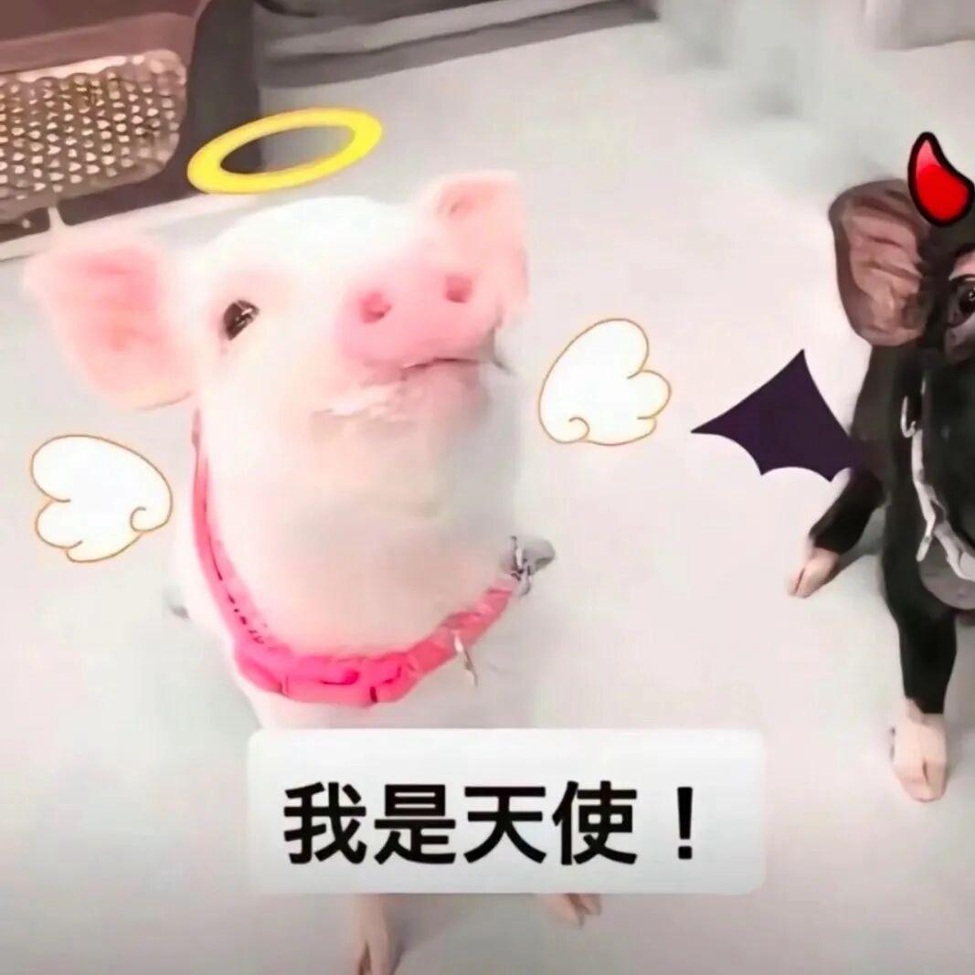 小悦大王(求推荐版