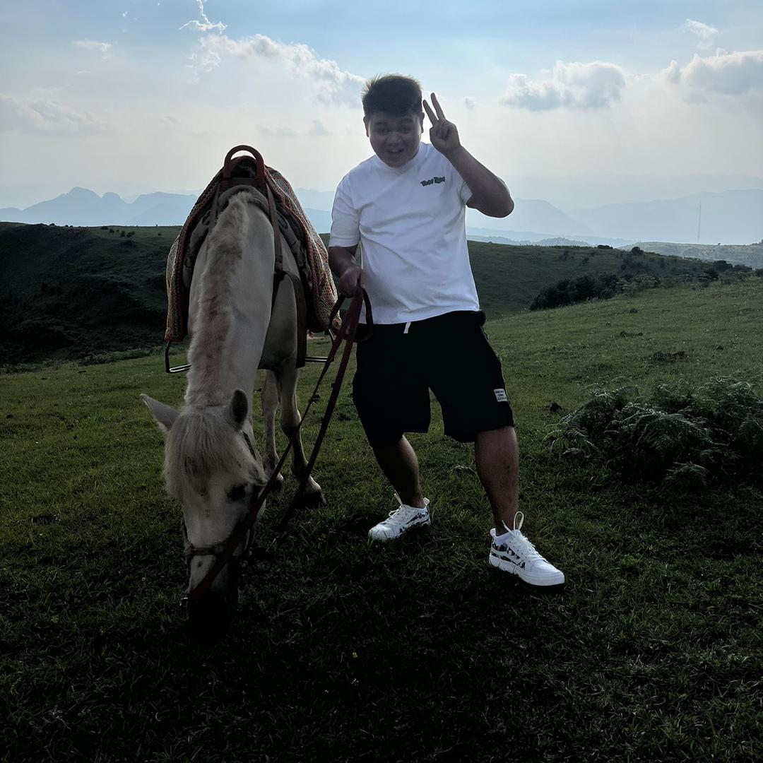 太子华