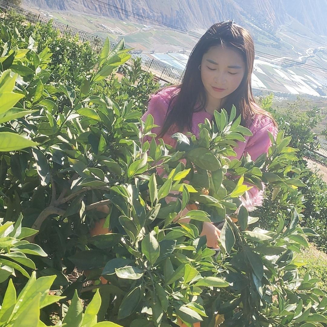 倘甸小惠凉菜