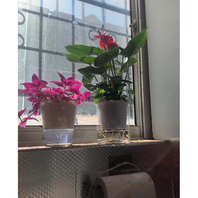 曙光