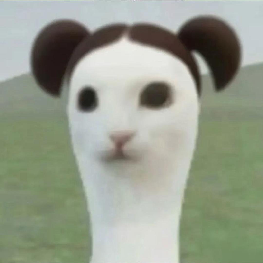 大轩宝贝