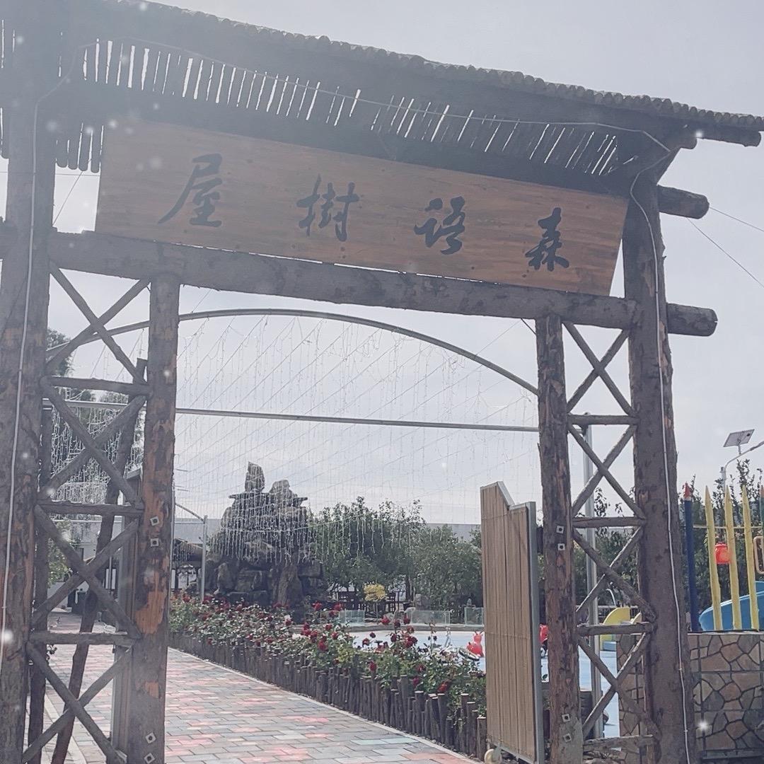 森语树屋露营地