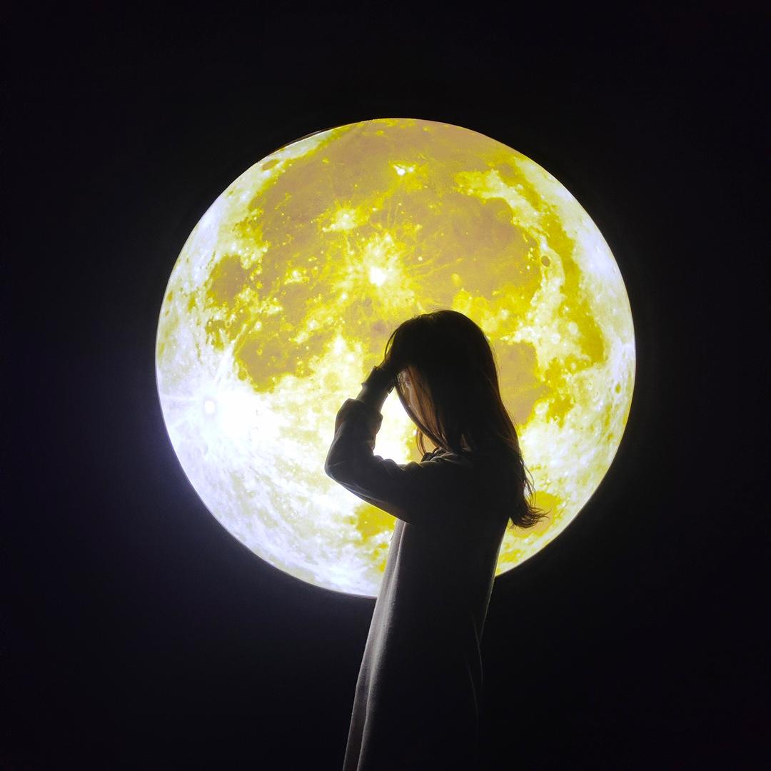 披着狼皮的小仙女🧚‍♀️