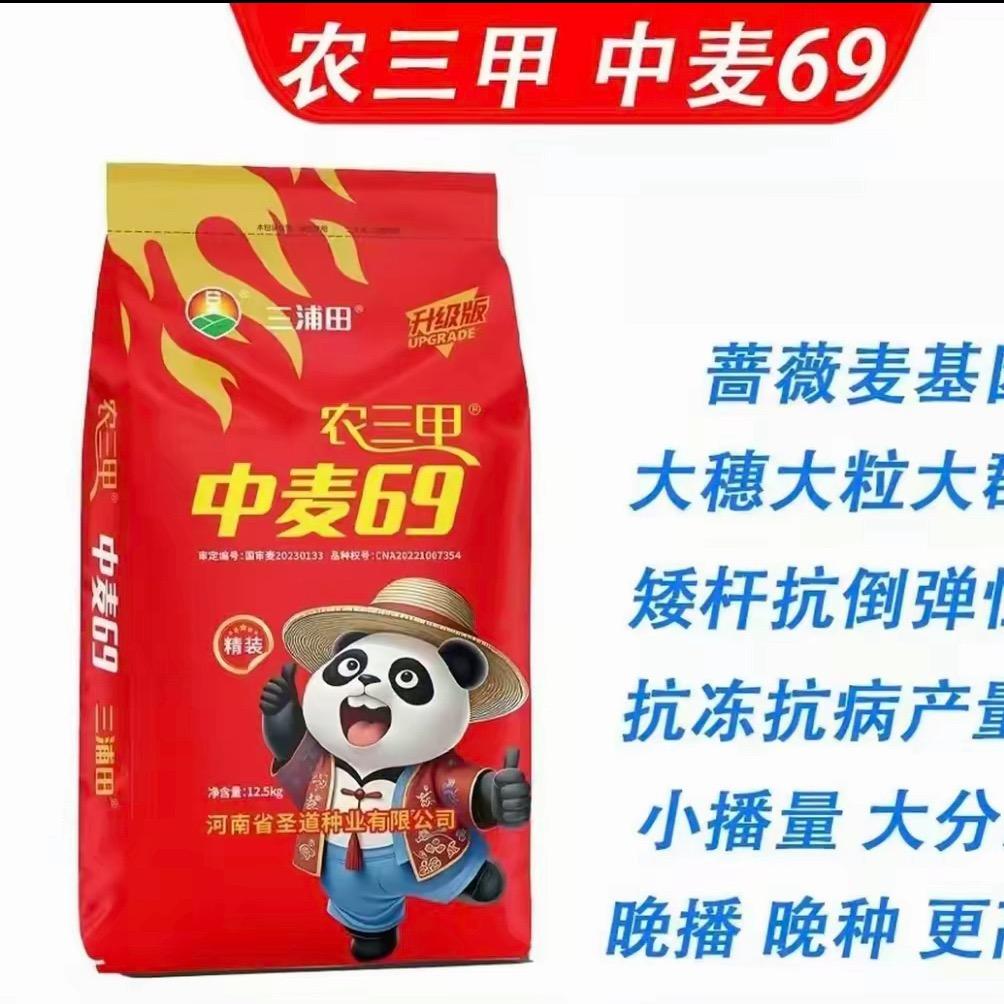 农三甲种子站