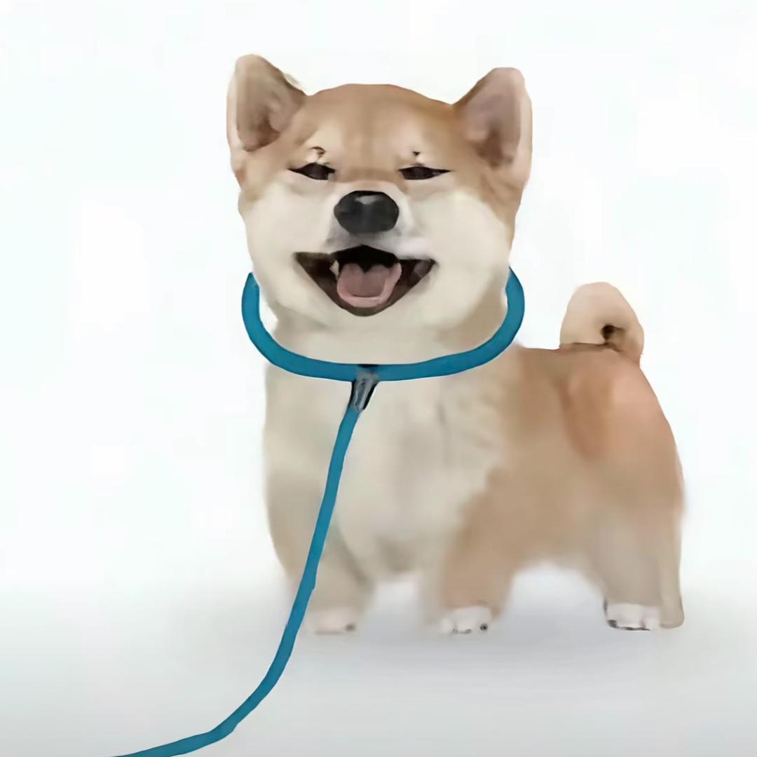 不让她碎掉