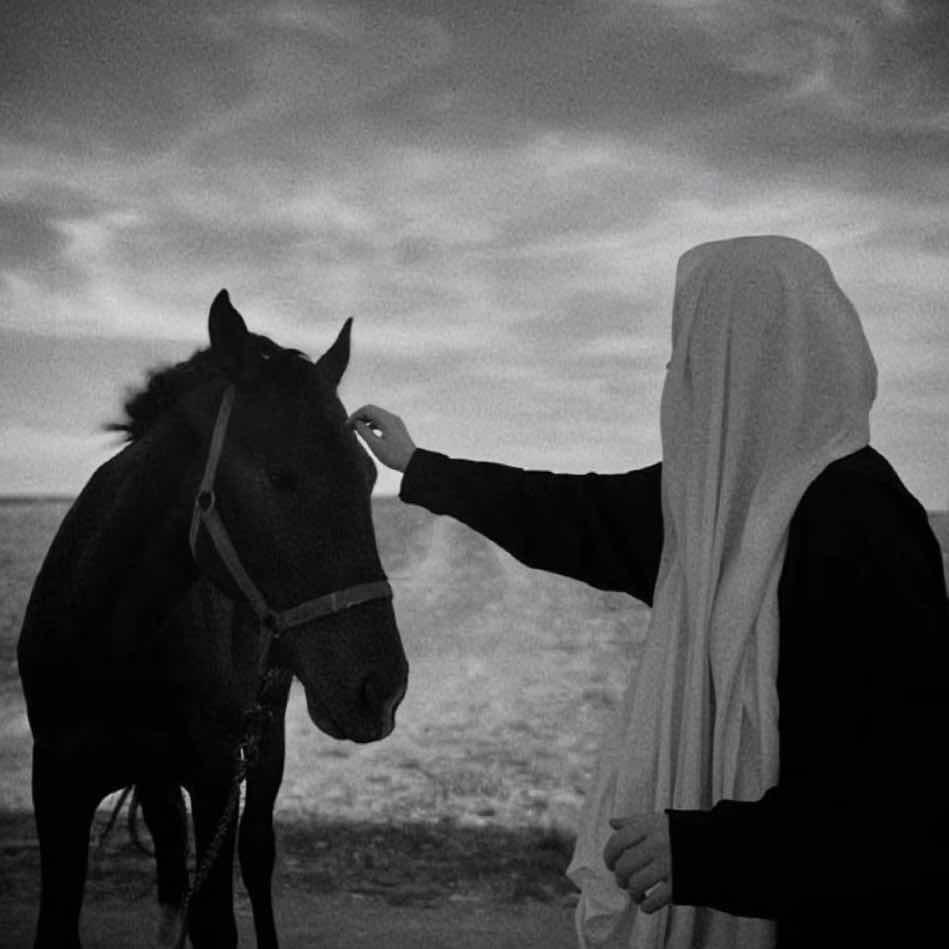 金哥电商（奔驰传媒）