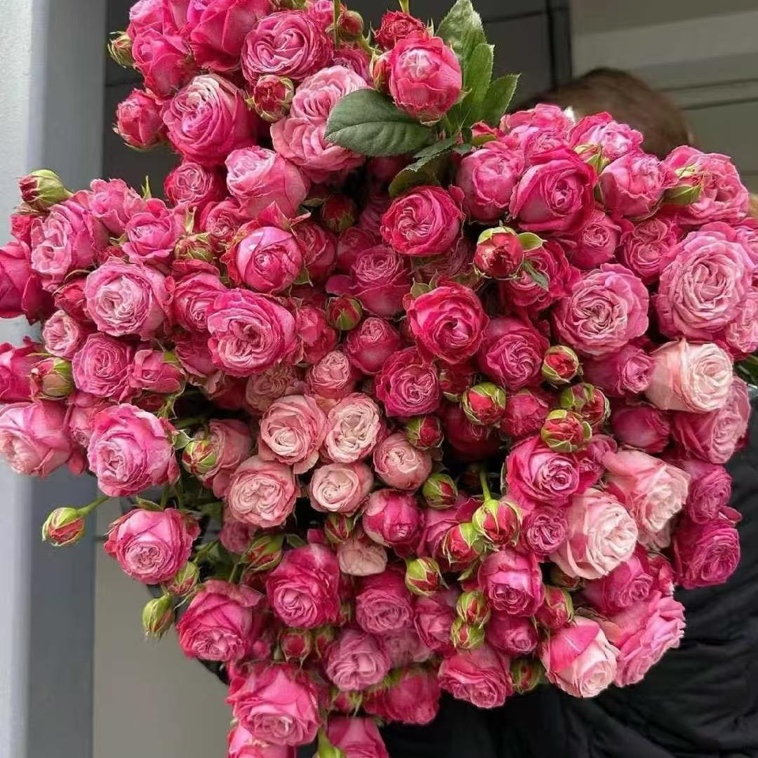 南风知我意❤️