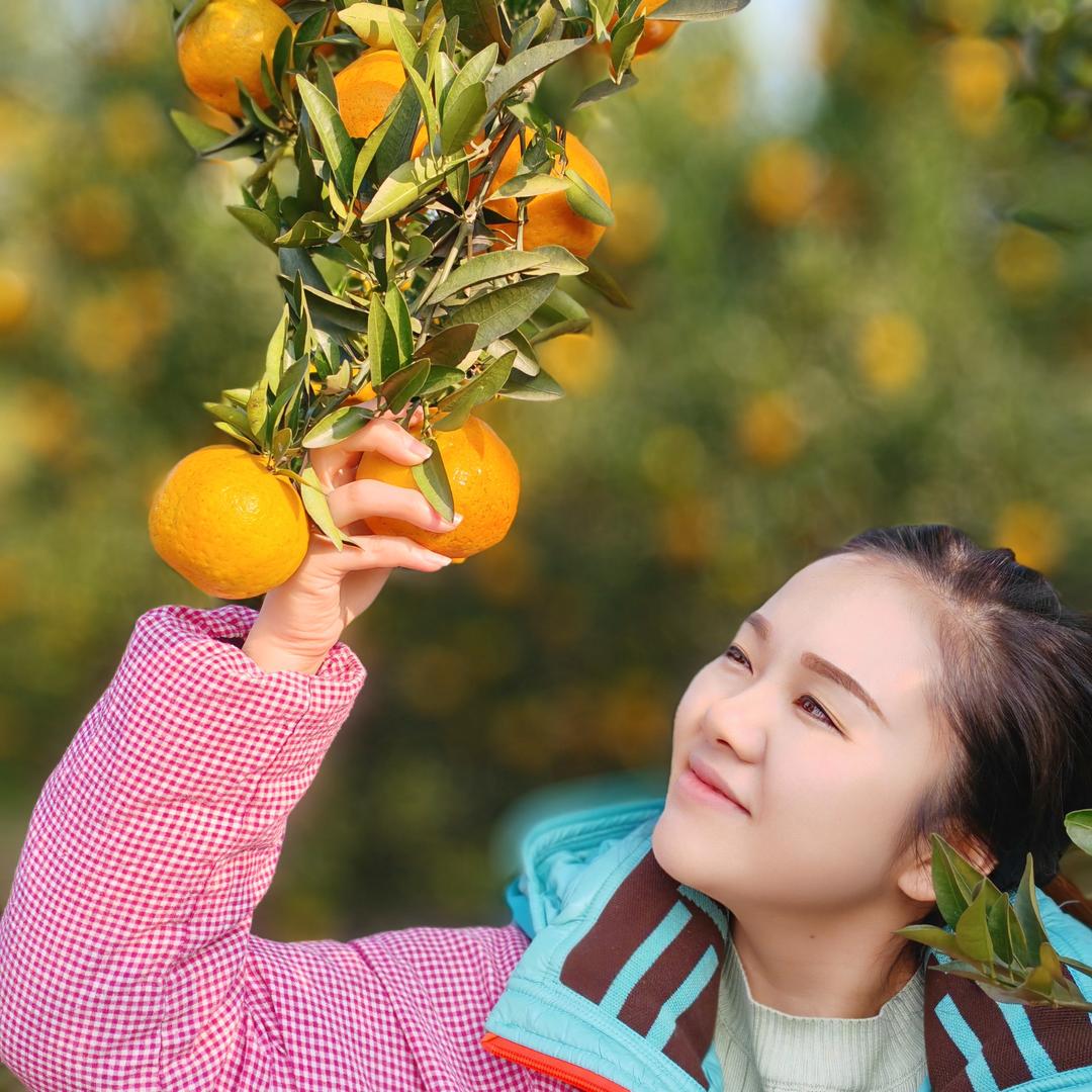 刘村长的甜蜜果园