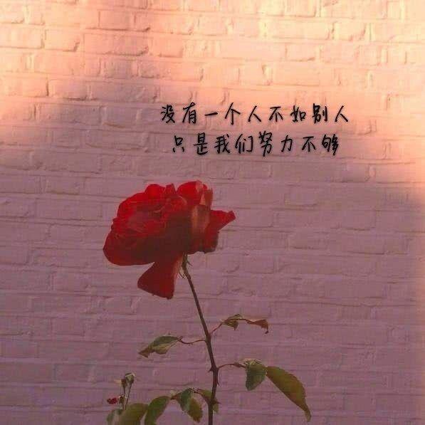 YJ🌸🦌💗☀️