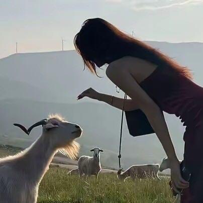 谭子晚安&