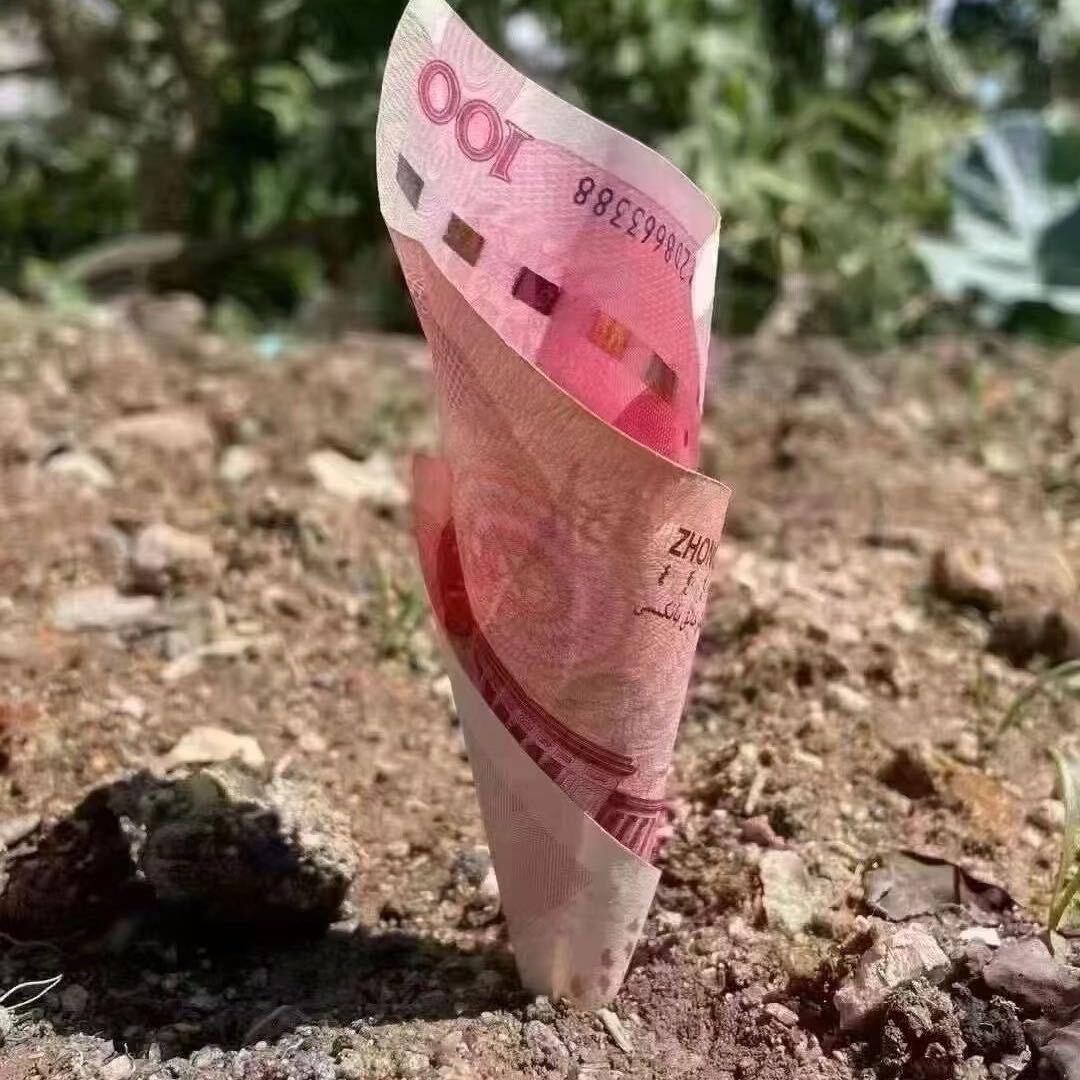 小浪