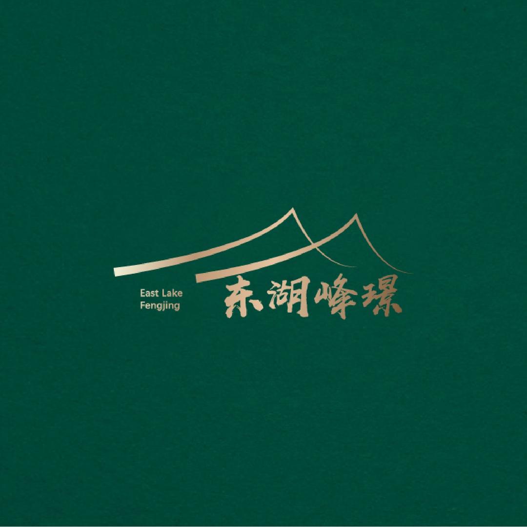 东湖峰璟（府双）
