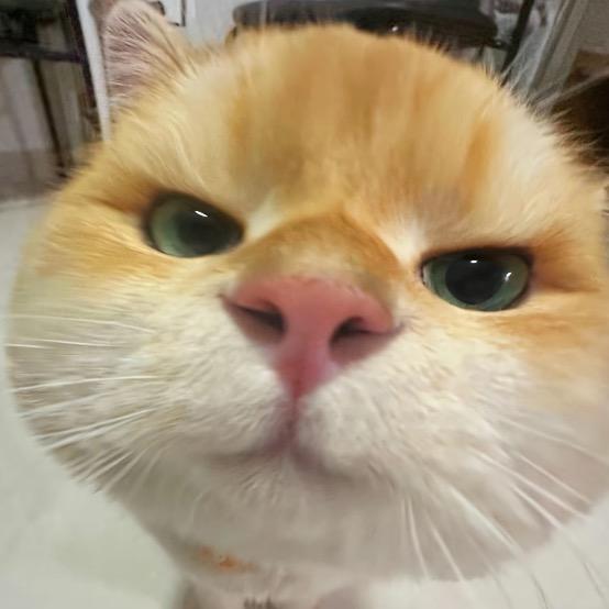 大板牙商贸