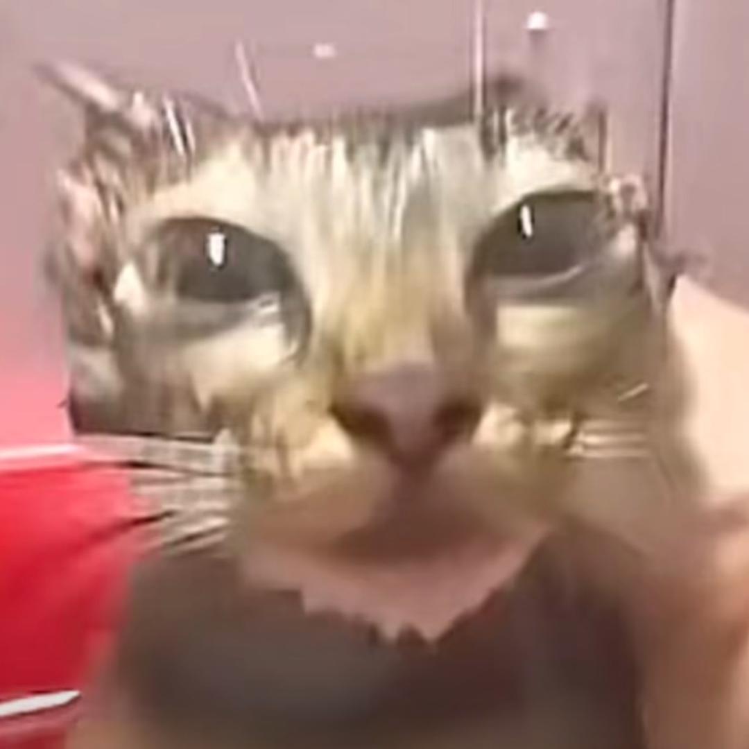 我的眼皮有点松弛