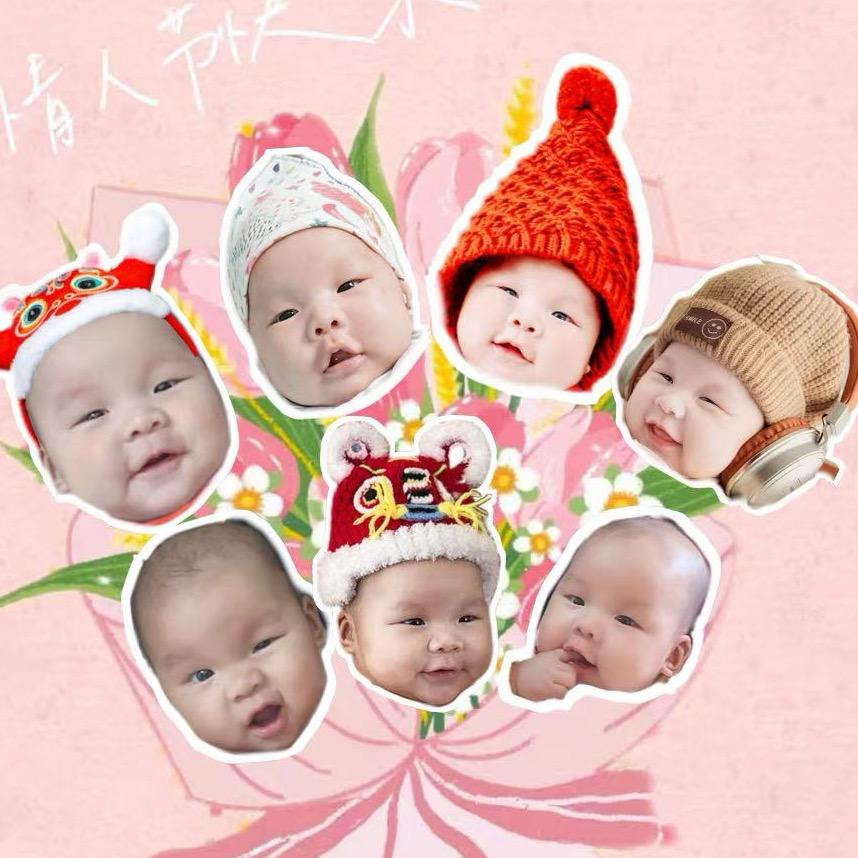 赞哥的奇妙冒险